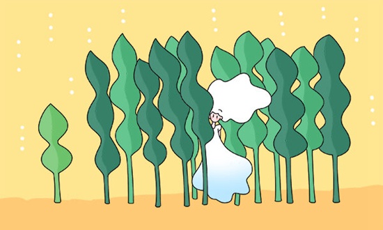 山东师范大学2+2留学招生条件是什么？